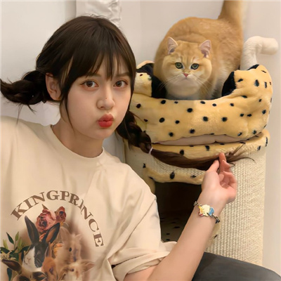 香港伴游女生星晓莉的资料